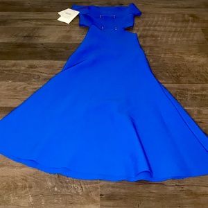 NWT: Alexander McQueen Dress